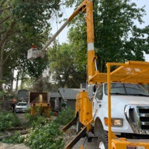 fire hazard mitigation nevada county