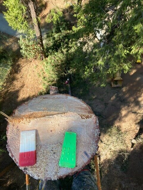 emergency tree service