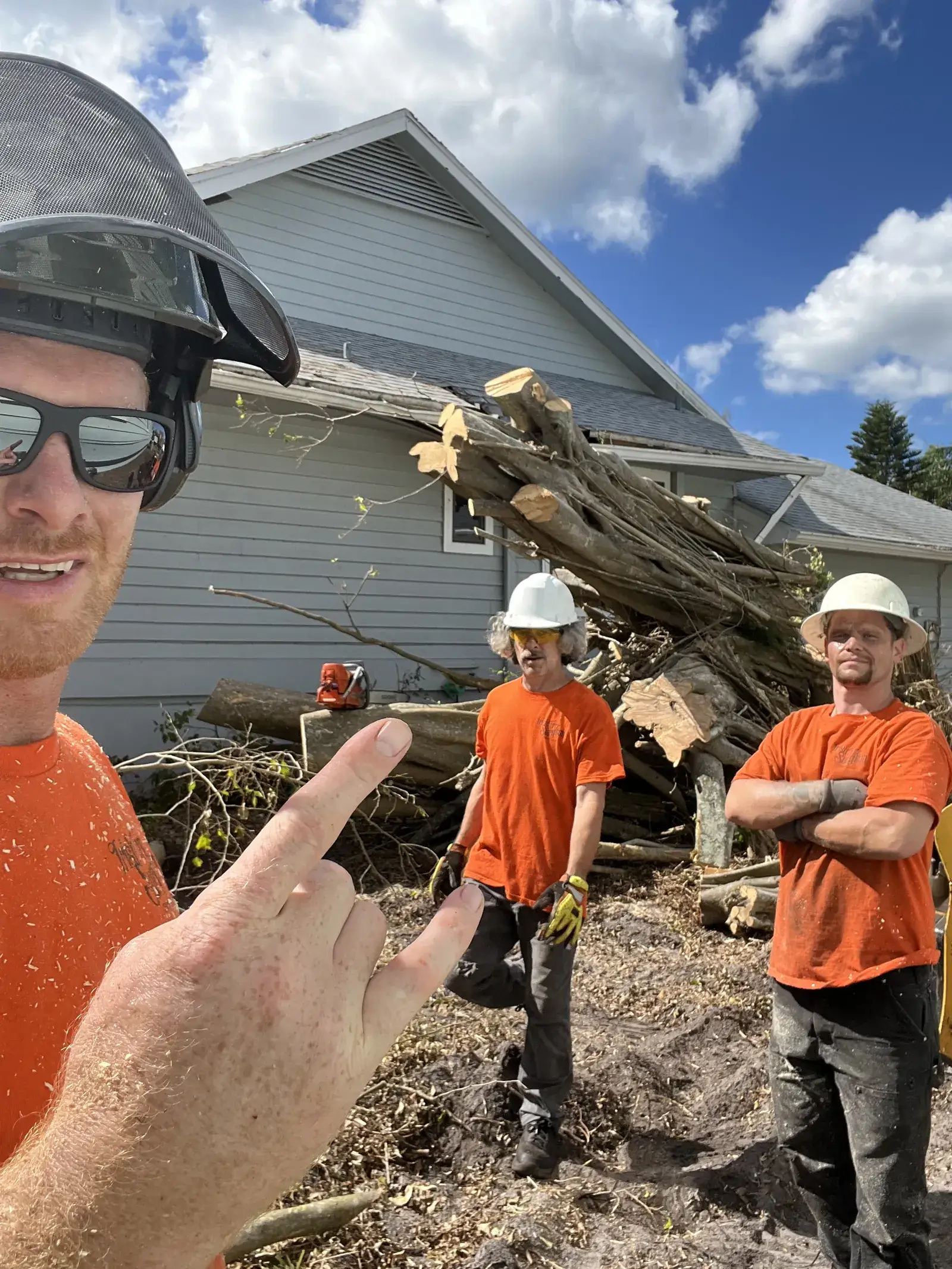 local tree service nevada county