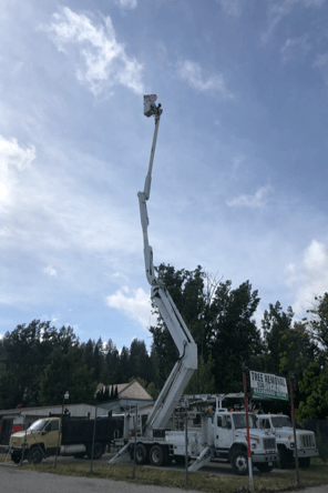 fire hazard mitigation nevada county